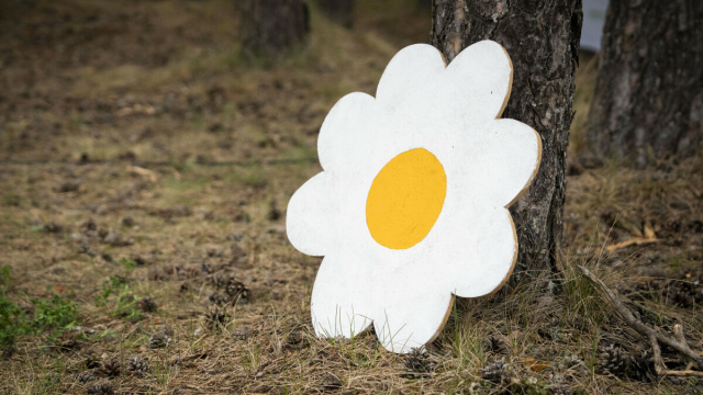 7. Janeki maraton, osavõtjate tagasiside